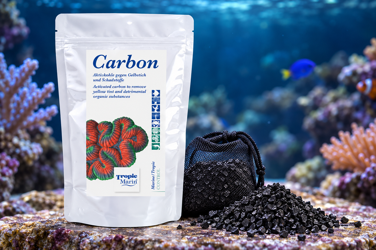 Activated Carbon in a Reef Aquarium: Selection, Use and Common Mistakes