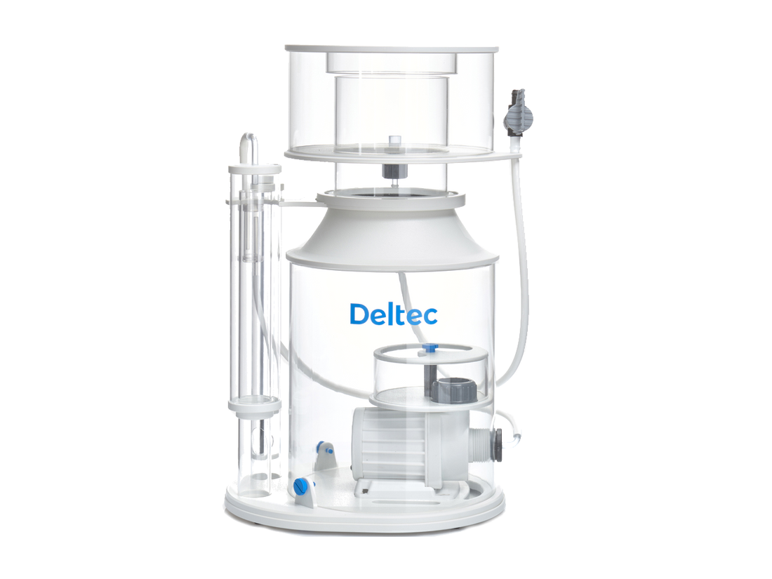 Deltec 3000i Innenabschäumer