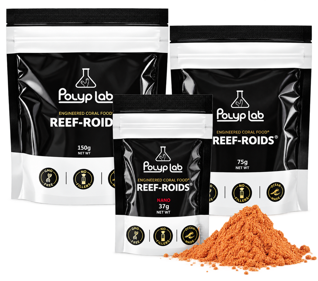 PolypLab Reef Roids 37g