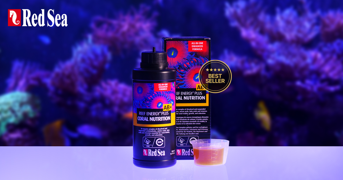 Red Sea Reef Energy Plus AB+