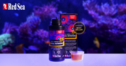 Red Sea Reef Energy Plus AB+