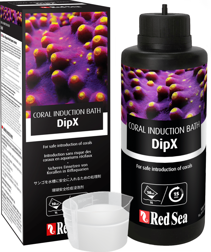 Red Sea DipX Korallenbad – echte Herstellerabbildung 500 ml