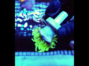 Euphyllia Glabrescens Limelight Torch Premium WYSIWYG / 500 – Video 2