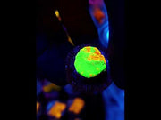Scolymia Bleeding Apple WYSIWYG - DNZ / 517 – Video