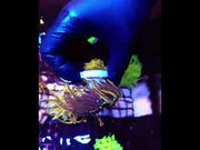 Euphyllia glabrescens Holy Grail Rapunzel Torch 3 Köpfe WYSIWYG - DNZ / 472 – Video